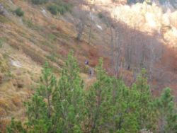 2013-10-26_Schildenstein (234).JPG